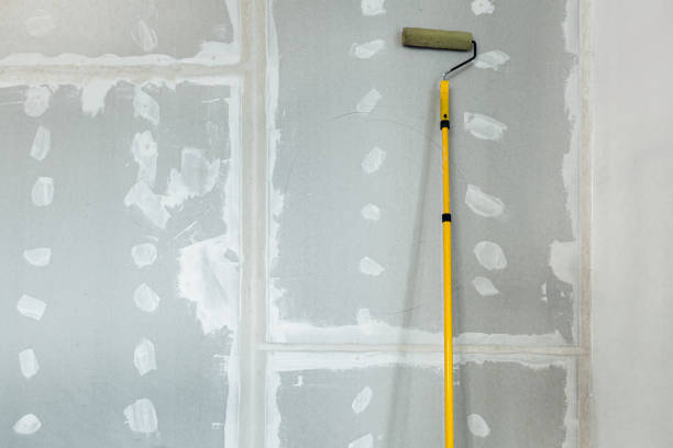Best Mold Documentation for Insurance Claims  in Dora, AL