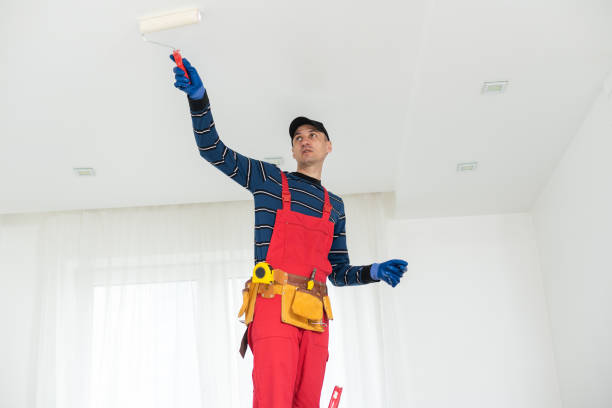 Best Asbestos and Lead Testing During Mold Inspection  in Dora, AL