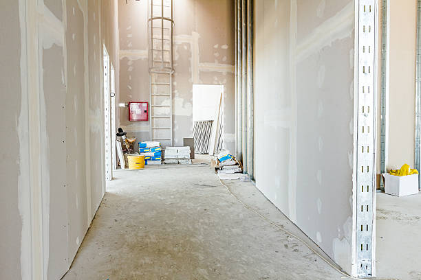 Best Industrial Mold Remediation  in Dora, AL